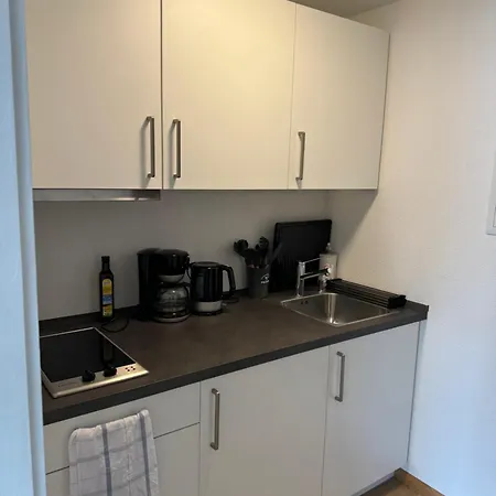 Kmh 1 Zi-apartment Apartament St. Blasien
