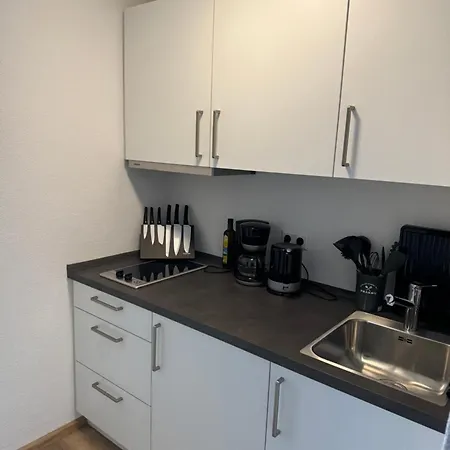 Kmh 1 Zi-apartment * St. Blasien
