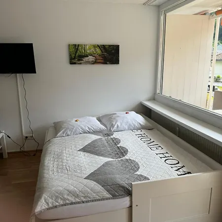 Apartament Kmh 1 Zi-apartment St. Blasien